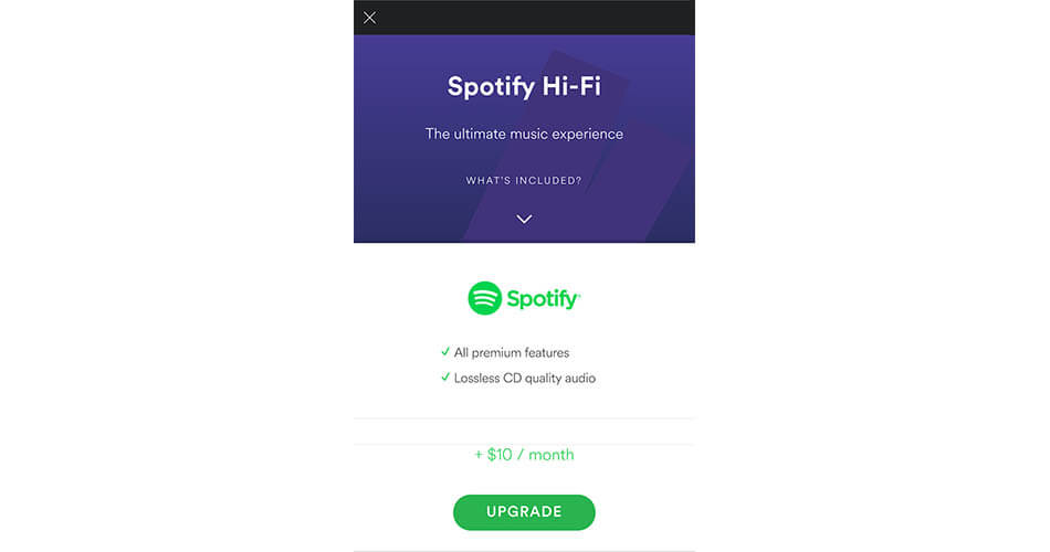 Spotify Hi-Fi Setup