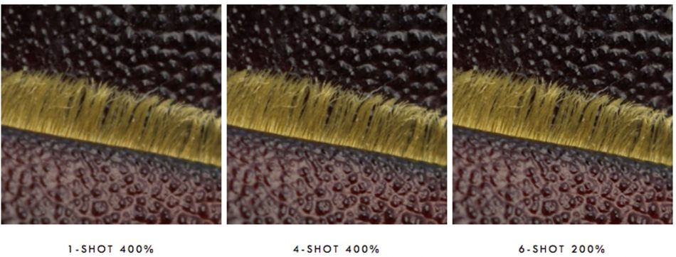 hasselblad h6d 400c multi shot closeups slim e1516220144849