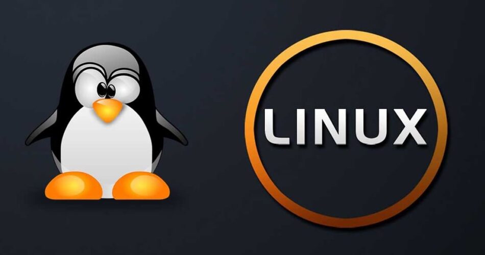 linux penguin bg