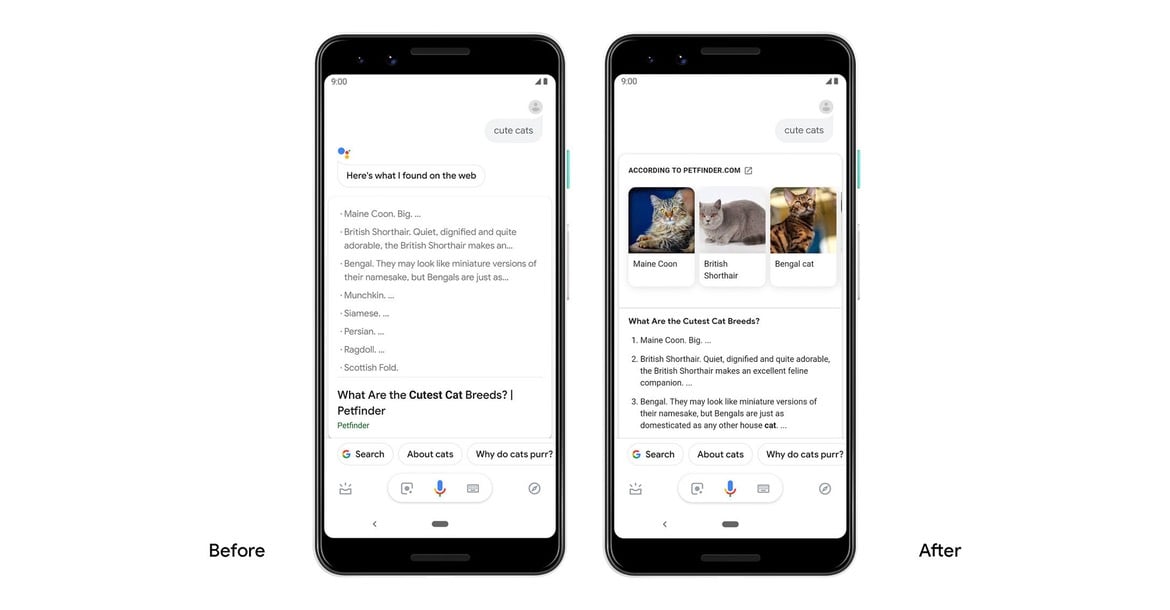 google assistant new search results april2019